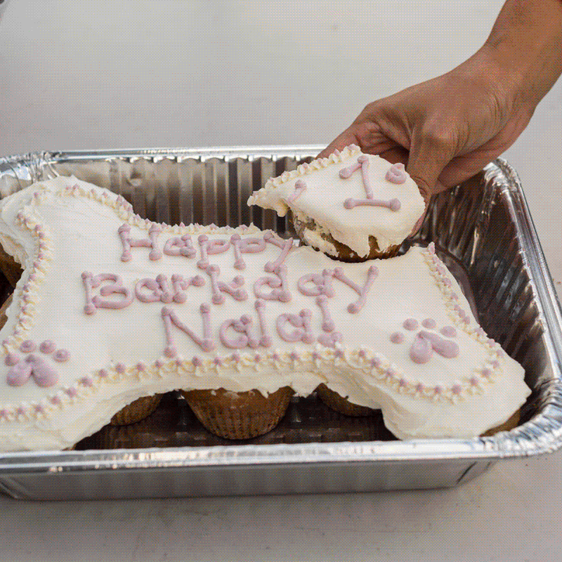 Mutt Muffin Paw-ty Cake