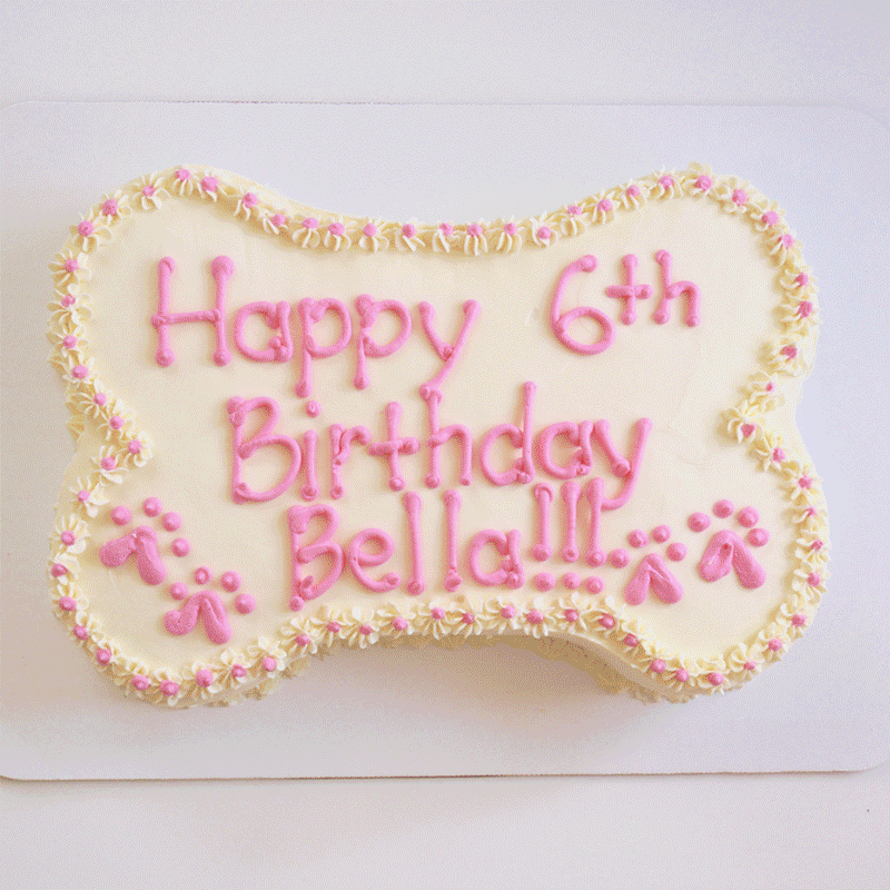 Paw-ty Cake